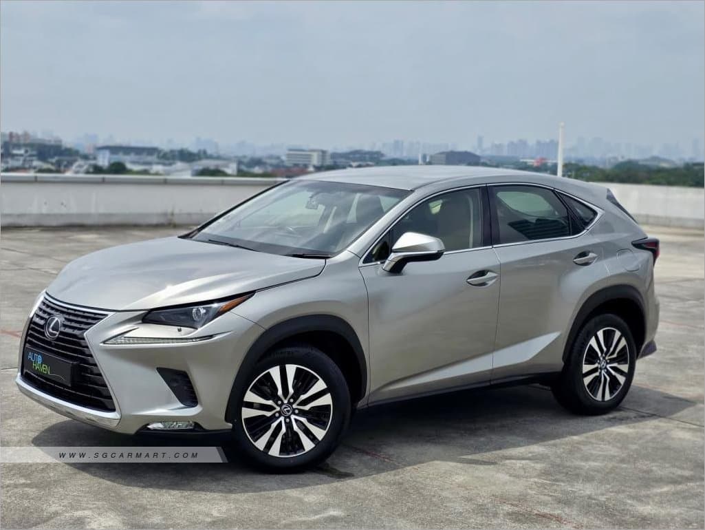 Lexus NX Turbo NX300 Executive photo 2