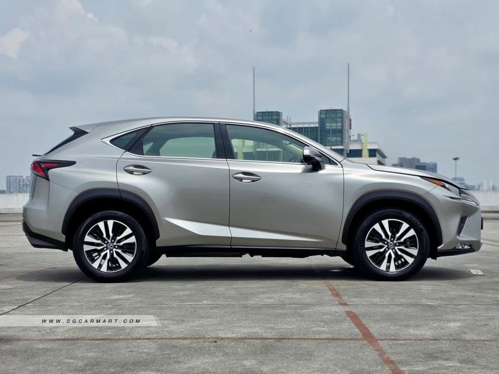 Lexus NX Turbo NX300 Executive photo 3