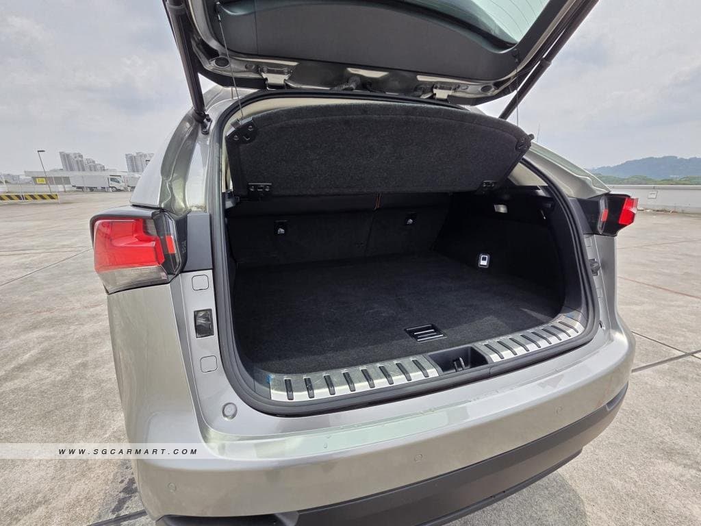 Lexus NX Turbo NX300 Executive photo 5